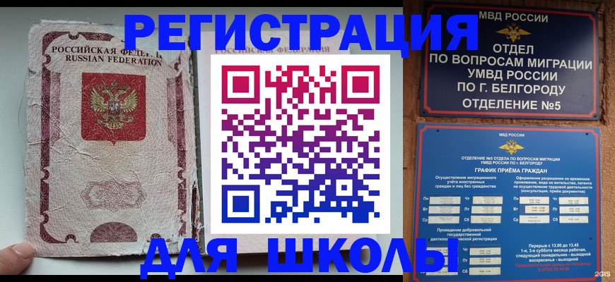 прописка гарантия в Курчатове